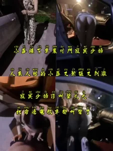 出探花设备 发骚药 车没有贴膜 你真的要车震我 不怕明天上新闻吗